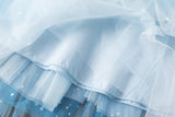 3-10T Kid Girl Lace Sequined Princess Pretty Mesh Blue Dresses
