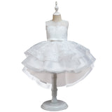 Kid Girl Princess Embroidered Dresses