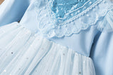 3-10T Kid Girl Lace Sequined Princess Pretty Mesh Blue Dresses