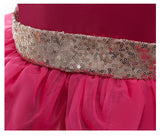 Kids Baby Girl Autumn Red Riding Princess Christmas Evening Dresses