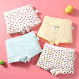 Kid Girl Cotton Cute Soft Underwear 4 Pieces/Lot 2-12Y