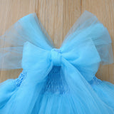 Mesh Baby Girl Princess Bridesmaid Pageant Gown Birthday Party Dress 6M-4Y - honeylives