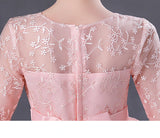 Kid Girl Princess Spring Autumn Mesh Sleeve Fluffy Mesh Dresses