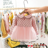 Girls Flower Dress Long Sleeve Lace Embroidery Mesh Dress 0-24 Months