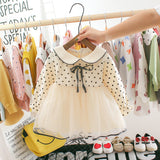 Girls Flower Dress Long Sleeve Lace Embroidery Mesh Dress 0-24 Months