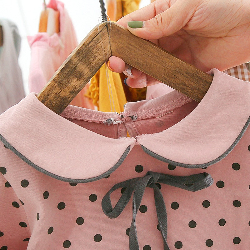 Girls Flower Dress Long Sleeve Lace Embroidery Mesh Dress 0-24 Months