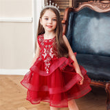 Girl Embroidery Flower Princess Dress Lace Tutu Kids Dresses - honeylives