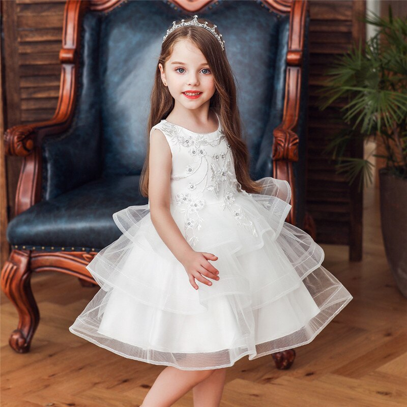 Girl Embroidery Flower Princess Dress Lace Tutu Kids Dresses - honeylives