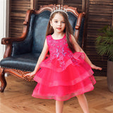 Girl Embroidery Flower Princess Dress Lace Tutu Kids Dresses - honeylives