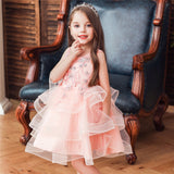 Girl Embroidery Flower Princess Dress Lace Tutu Kids Dresses - honeylives