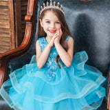 Girl Embroidery Flower Princess Dress Lace Tutu Kids Dresses - honeylives
