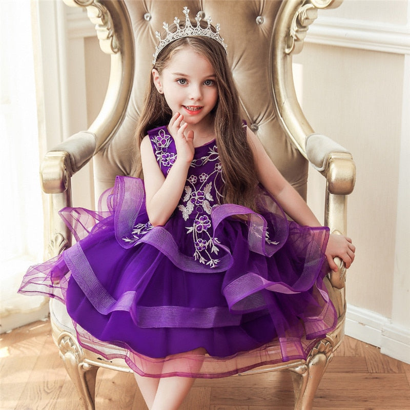 Girl Embroidery Flower Princess Dress Lace Tutu Kids Dresses - honeylives