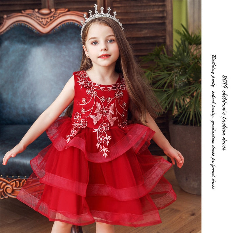 Girl Embroidery Flower Princess Dress Lace Tutu Kids Dresses - honeylives
