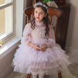 Kid Girl Princess Vestidos Spring Layered Dress