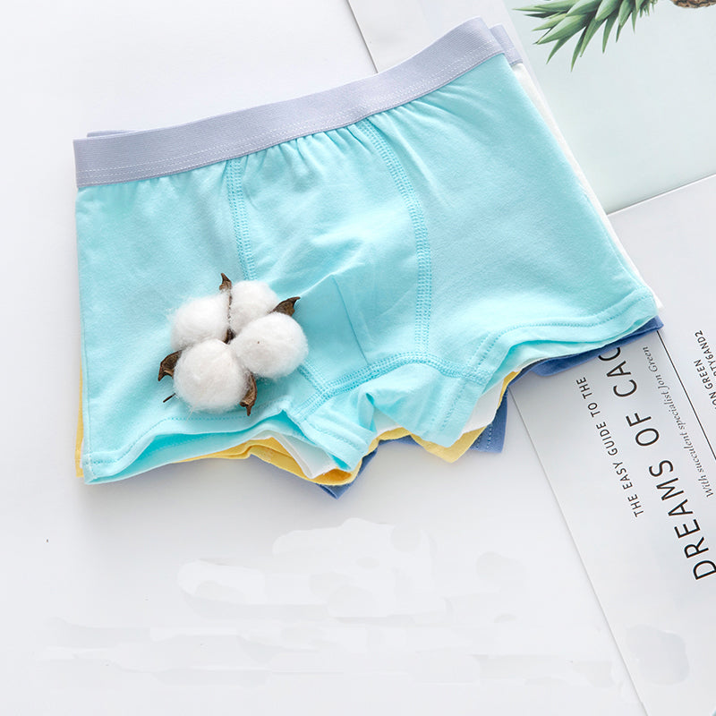 Kids Boy Cute Cartoon Print Underwear Train Car Print Comfortable Shorts 4 Pieces/lot