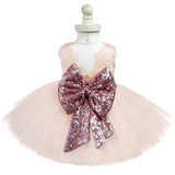 Kids Clothes Princess Girl Cute Lace Events Party Dress - honeylives