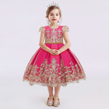 Girls Dress Princess Embroidery Chirstmas Evening Birthday Party Dress - honeylives