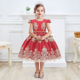 Girls Dress Princess Embroidery Chirstmas Evening Birthday Party Dress - honeylives