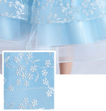 Kids Girl Wedding Party Lace Mesh Elegant Prom Princess Dresses