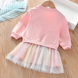 Girl Winter Unicorn Rainbow Tulle Dress 2Pcs 1-6 Years
