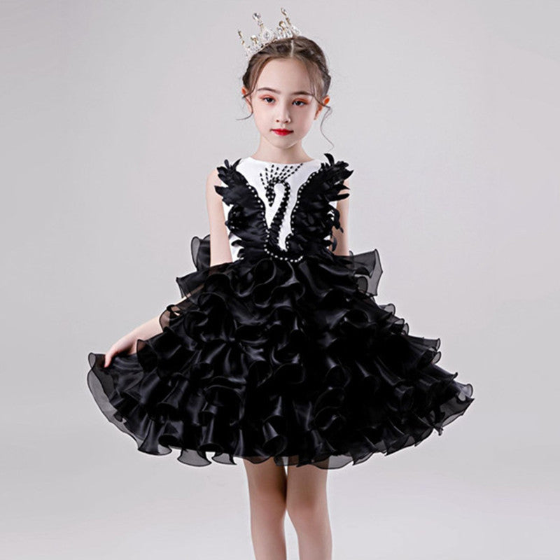 Girls Princess Tutu Dress Lace Applique Elegant Party Dress 1-10 Years - honeylives