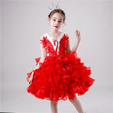 Girls Princess Tutu Dress Lace Applique Elegant Party Dress 1-10 Years - honeylives