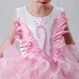 Girls Princess Tutu Dress Lace Applique Elegant Party Dress 1-10 Years - honeylives