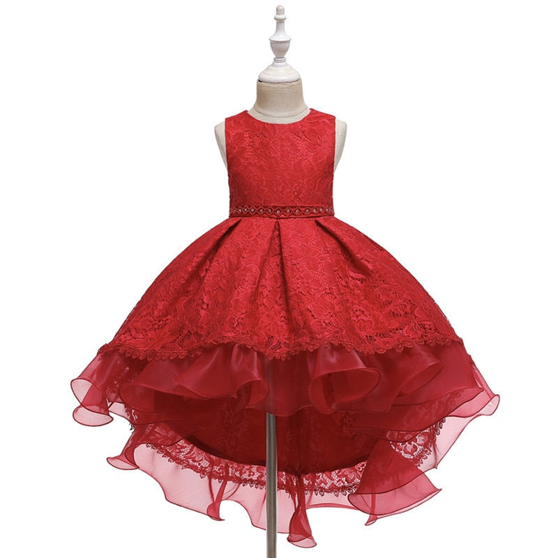 Kids Girl Cake Tutu Flower Dress Lace Party Wedding Formal Dress 3-12Y - honeylives