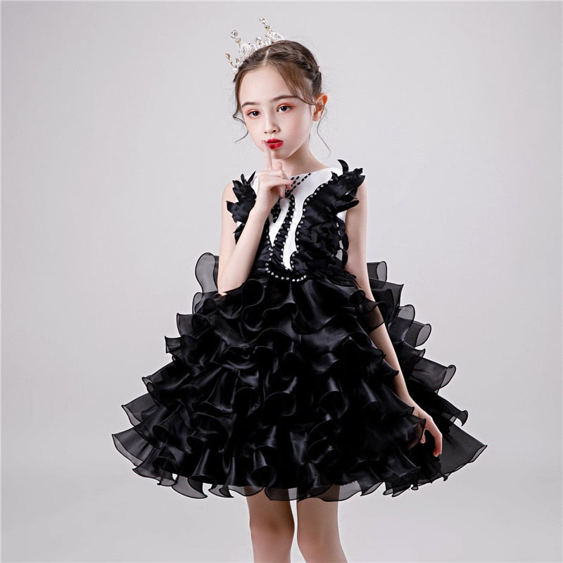 Girls Princess Tutu Dress Lace Applique Elegant Party Dress 1-10 Years - honeylives