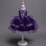 Girl Embroidery Flower Princess Dress Lace Tutu Kids Dresses - honeylives