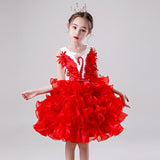 Girls Princess Tutu Dress Lace Applique Elegant Party Dress 1-10 Years - honeylives