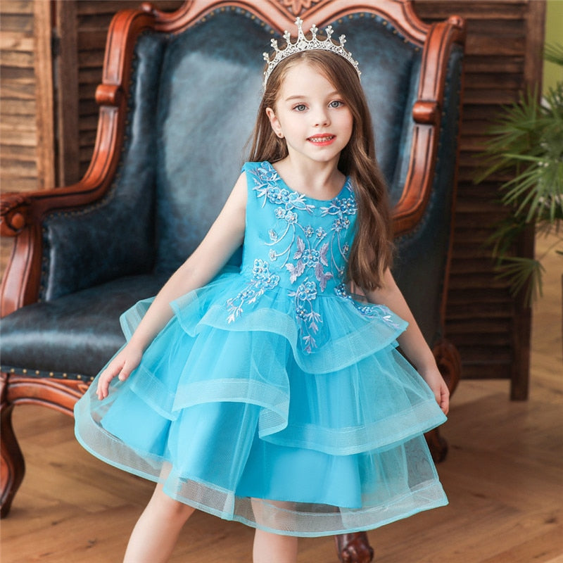 Girl Embroidery Flower Princess Dress Lace Tutu Kids Dresses - honeylives