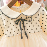 Girls Flower Dress Long Sleeve Lace Embroidery Mesh Dress 0-24 Months