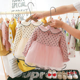 Girls Flower Dress Long Sleeve Lace Embroidery Mesh Dress 0-24 Months