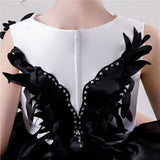 Girls Princess Tutu Dress Lace Applique Elegant Party Dress 1-10 Years - honeylives