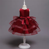 Girl Embroidery Flower Princess Dress Lace Tutu Kids Dresses - honeylives