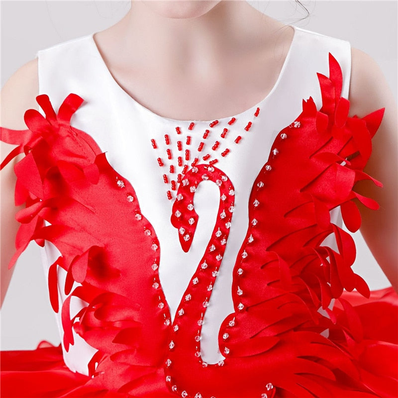 Girls Princess Tutu Dress Lace Applique Elegant Party Dress 1-10 Years - honeylives