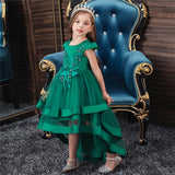 Kids Girl Cake Tutu Flower Dress Children Party Wedding Formal Dress 3-12T - honeylives