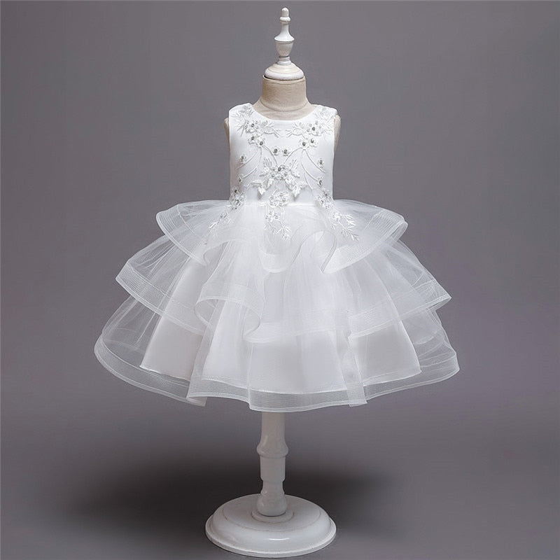 Girl Embroidery Flower Princess Dress Lace Tutu Kids Dresses - honeylives