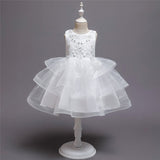 Girl Embroidery Flower Princess Dress Lace Tutu Kids Dresses - honeylives