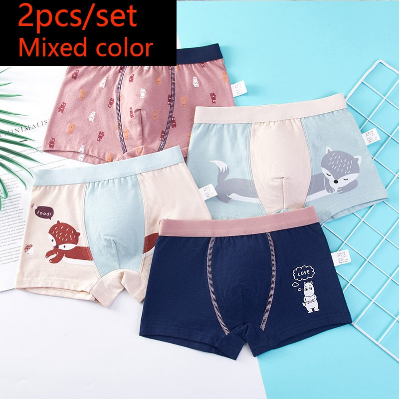 Kid Boys Boxer Underpants Panties Cozy Cartoon Underwear 2pcs/set