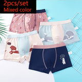 Kid Boys Boxer Underpants Panties Cozy Cartoon Underwear 2pcs/set