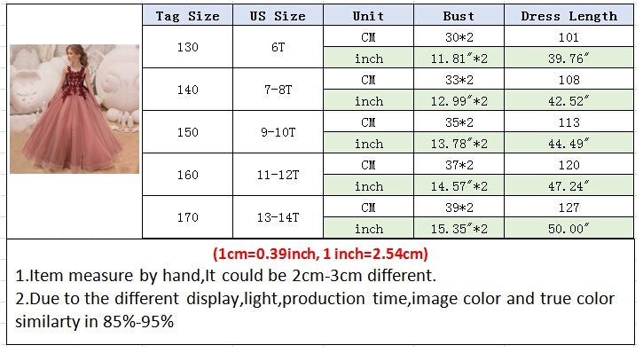 Teenager Girls Birthday Princess Dress Vintage Appliques Flower Ball Gown - honeylives