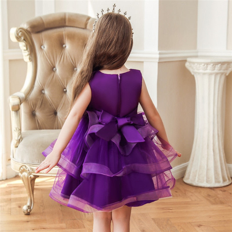 Girl Embroidery Flower Princess Dress Lace Tutu Kids Dresses - honeylives