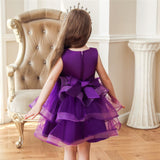 Girl Embroidery Flower Princess Dress Lace Tutu Kids Dresses - honeylives