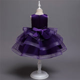 Girl Embroidery Flower Princess Dress Lace Tutu Kids Dresses - honeylives