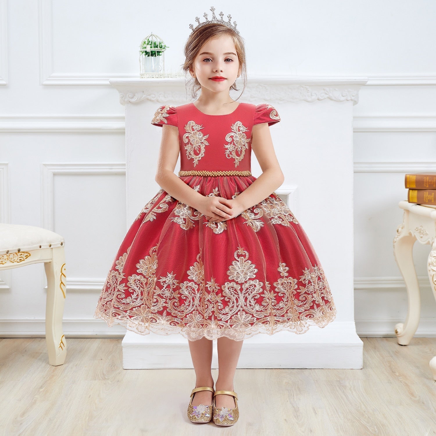 Girls Dress Princess Embroidery Chirstmas Evening Birthday Party Dress - honeylives