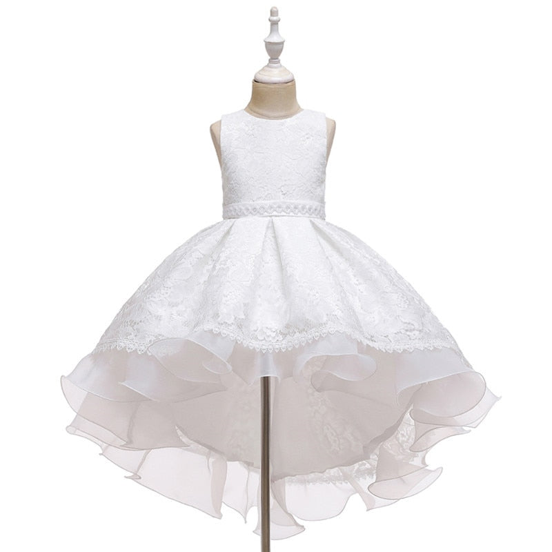 Kids Girl Cake Tutu Flower Dress Lace Party Wedding Formal Dress 3-12Y - honeylives
