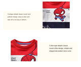 Kid Boy Trendy Knit Long-sleeved Round Neck Sweater