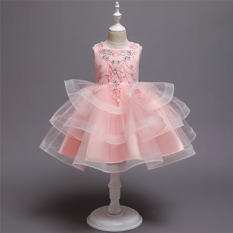 Girl Embroidery Flower Princess Dress Lace Tutu Kids Dresses - honeylives